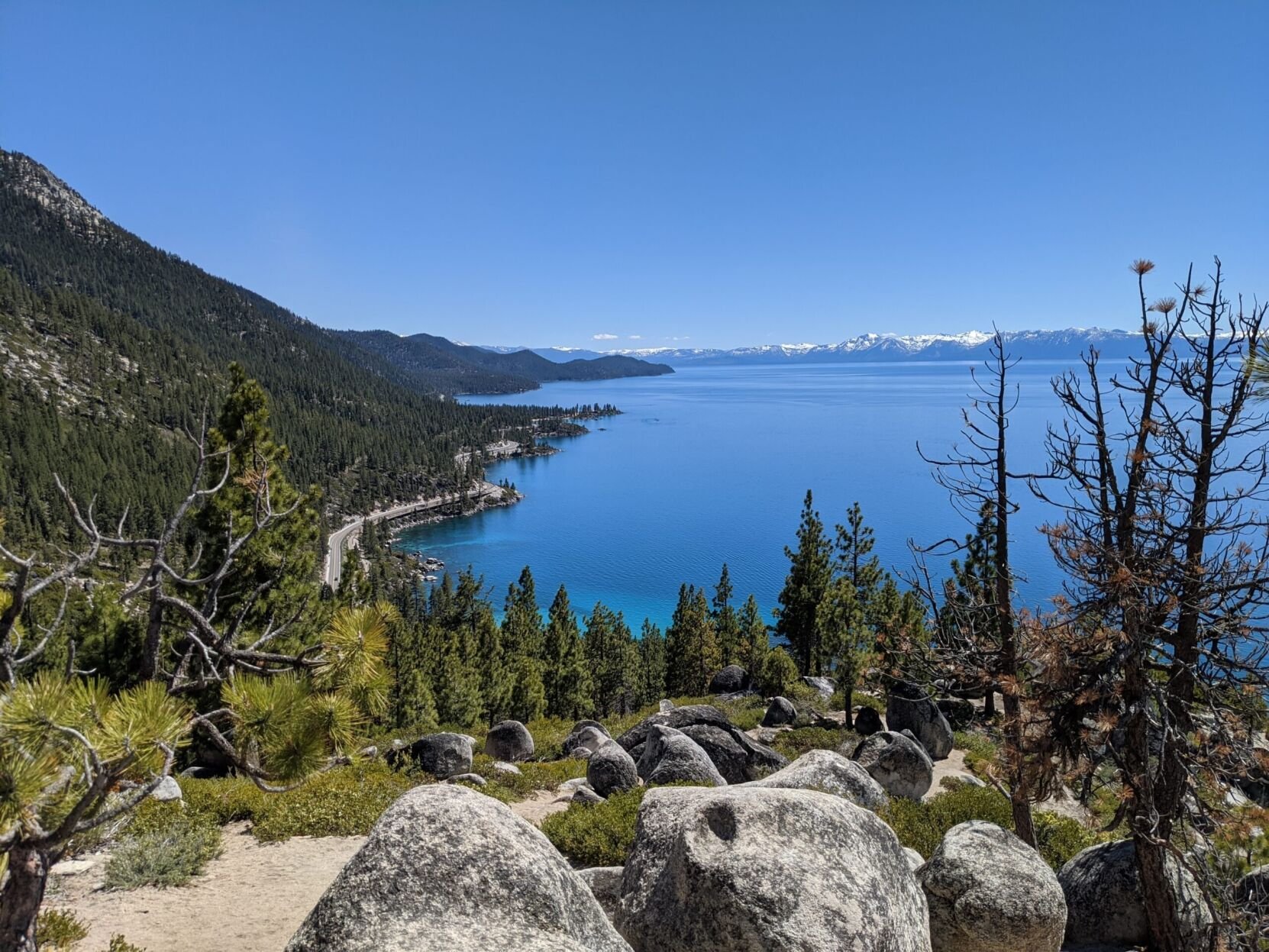 ANI040-00243-400x266.jpg