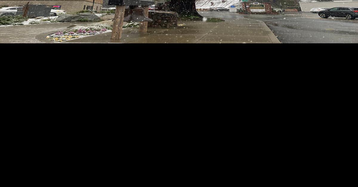 City Council to consider cutting Placerville’s Christmas tree News