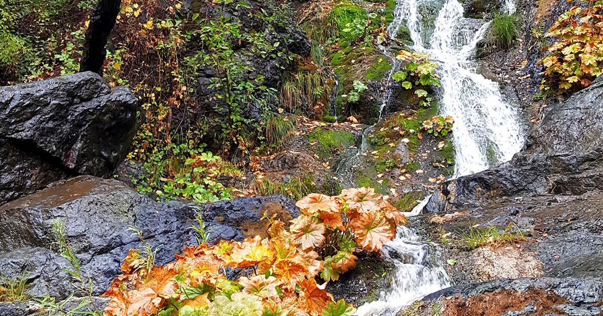 Day Hiker: Codfish Falls