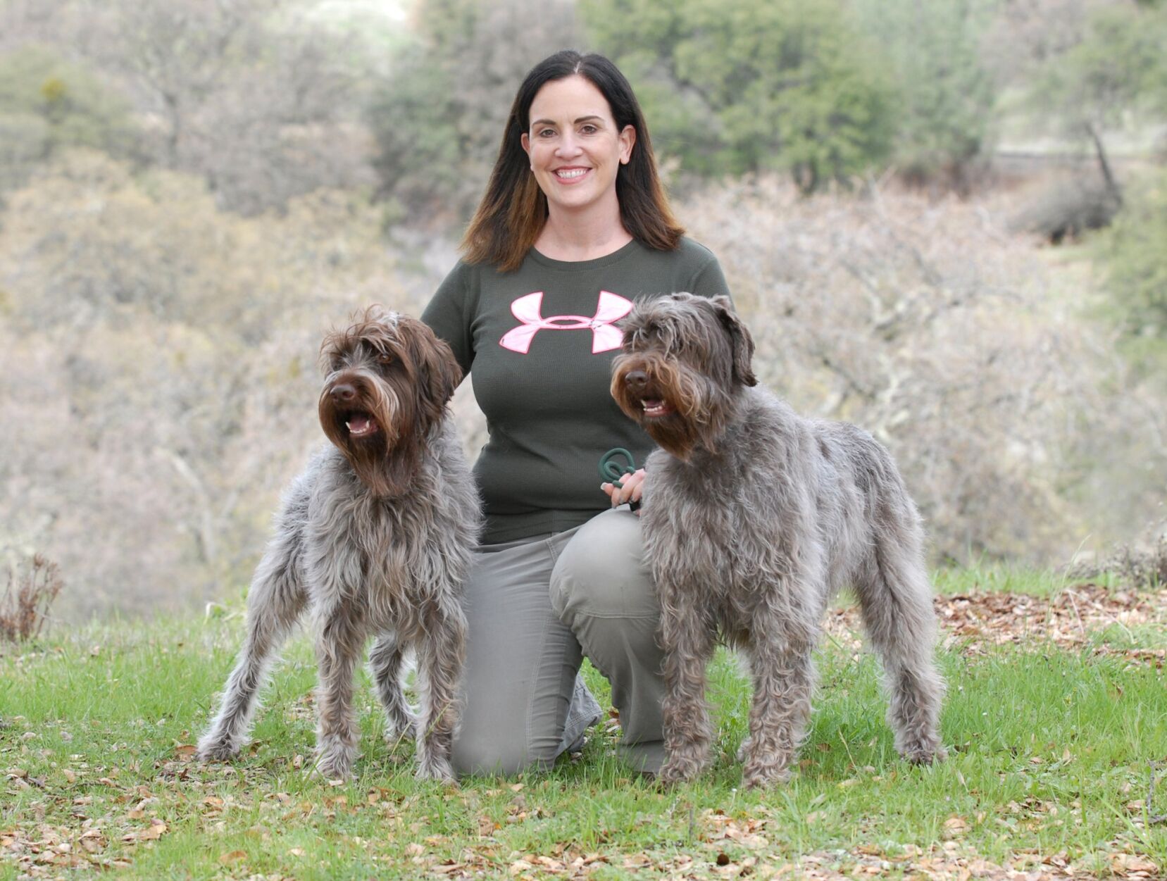 Wirehaired pointing griffon shedding big outlet dogs