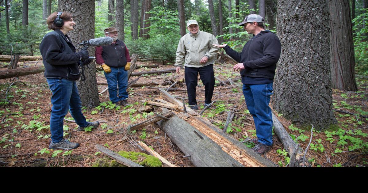 King Fire Blodgett Forest researchers share findings News