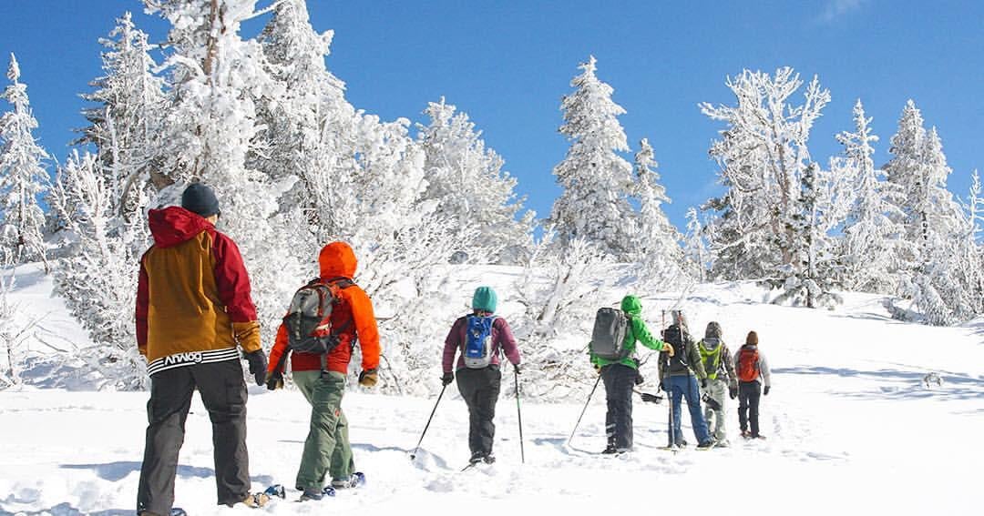 Tahoe Institute for Natural Science celebrates 15 years of conservation