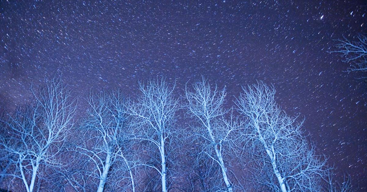 Teens Encourage Friends to Gather Beneath the Night Sky Teens Encourage Friends to Gather Beneath the Night Sky
