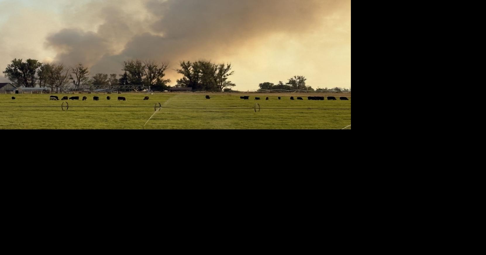 Wildhorse Fire burns roughly 50,000 acres South Carey evacuation order lifted overnight
