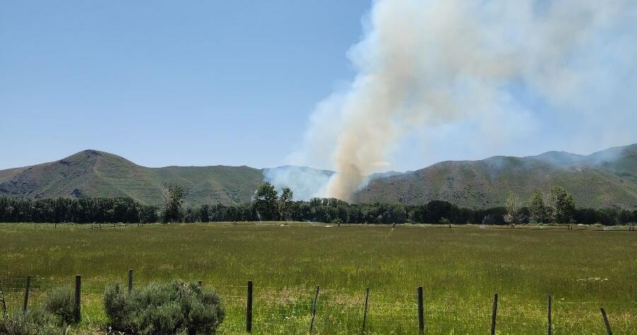 Wildfire reported west of Bellevue - Vimarsana News