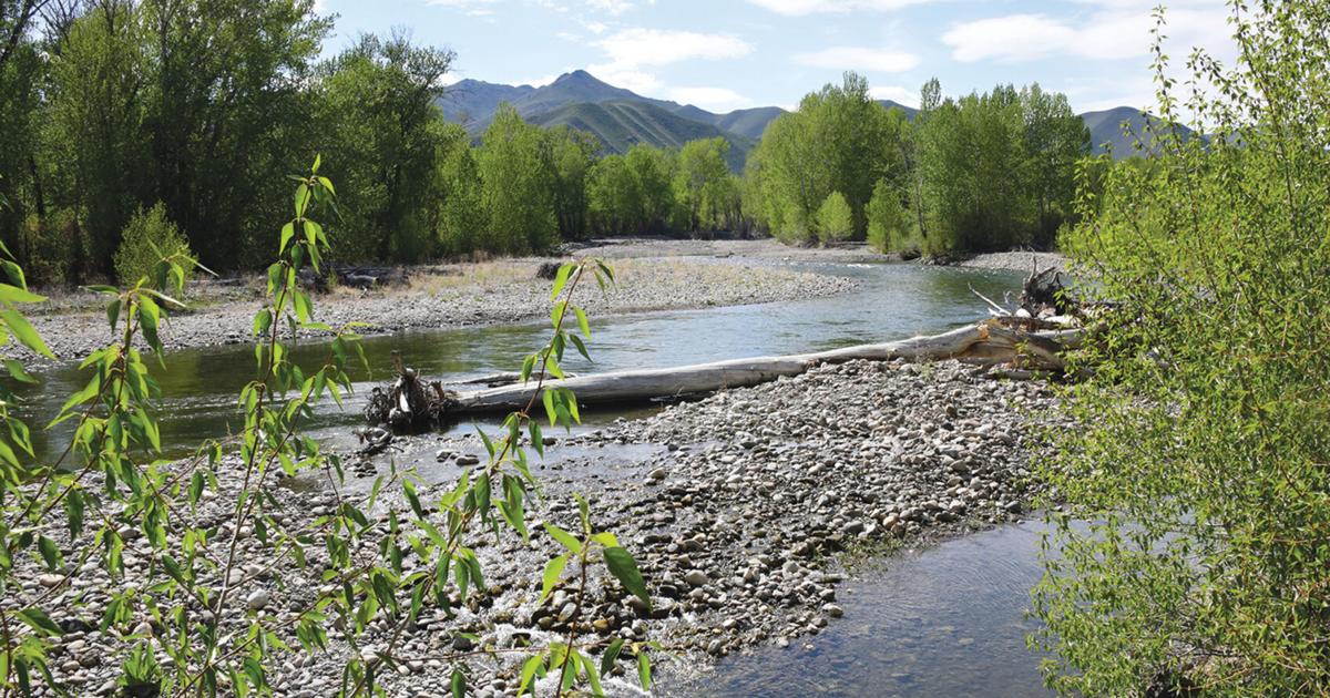 Workshops to discuss threats to Big Wood River