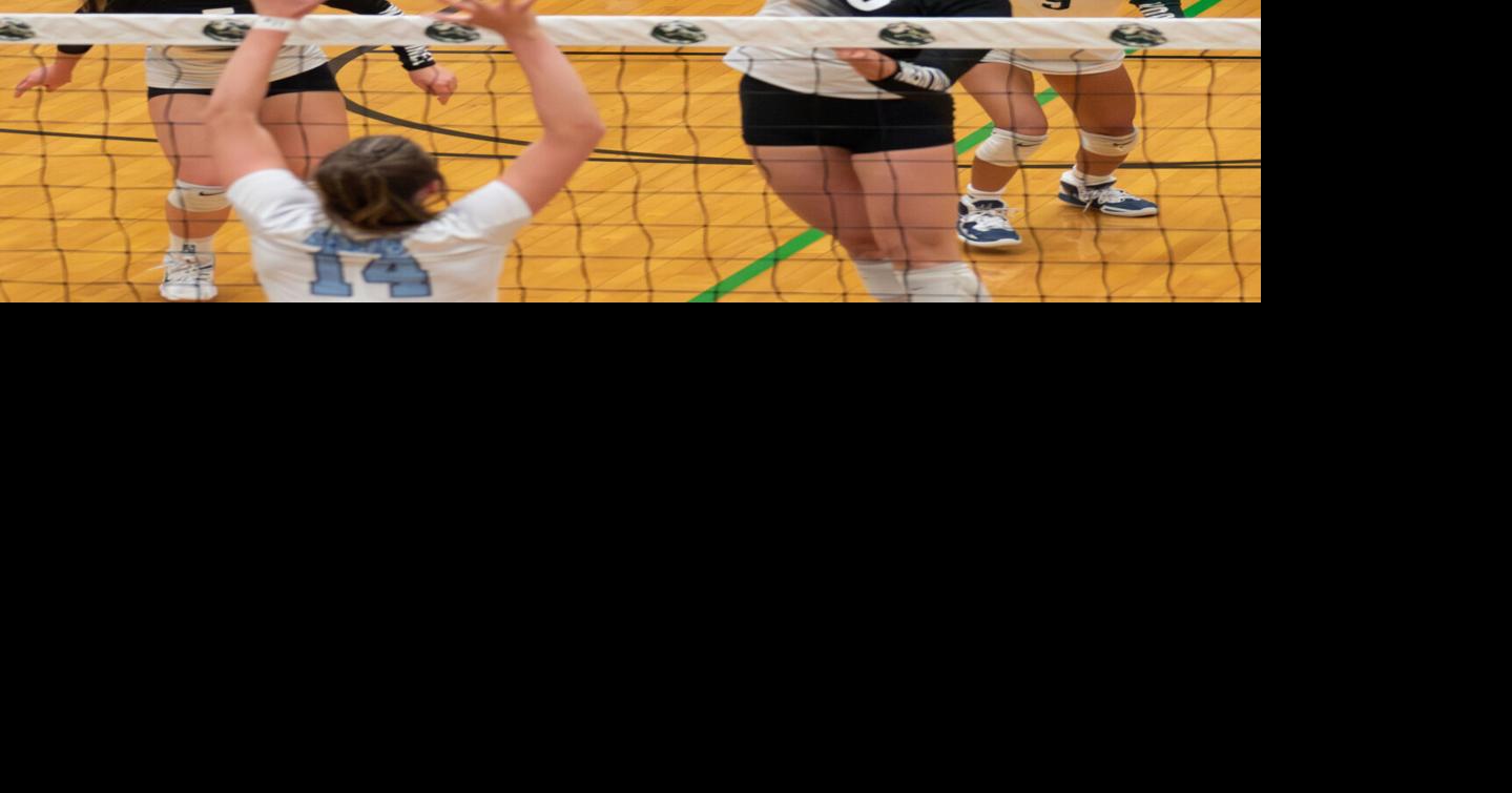 Wolverines volleyball wins twice on Friday to advance in 5A tournament