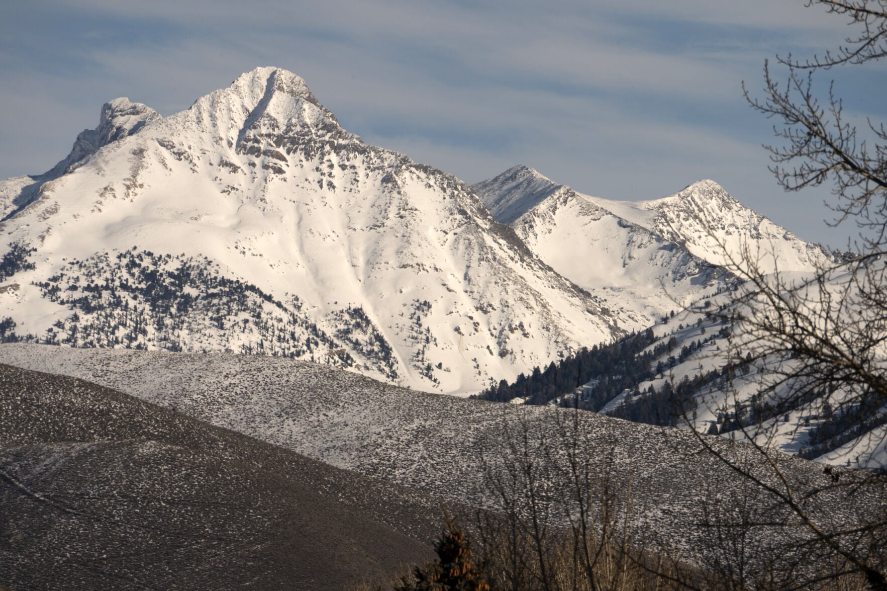 Winter Giants | Features | mtexpress.com