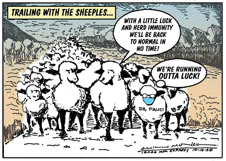 Herd Immunity | Cartoon | mtexpress.com