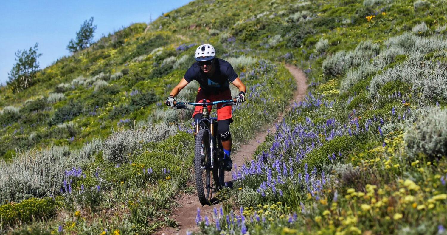 Sun Valley to rev up summer operations on Baldy - Vimarsana News
