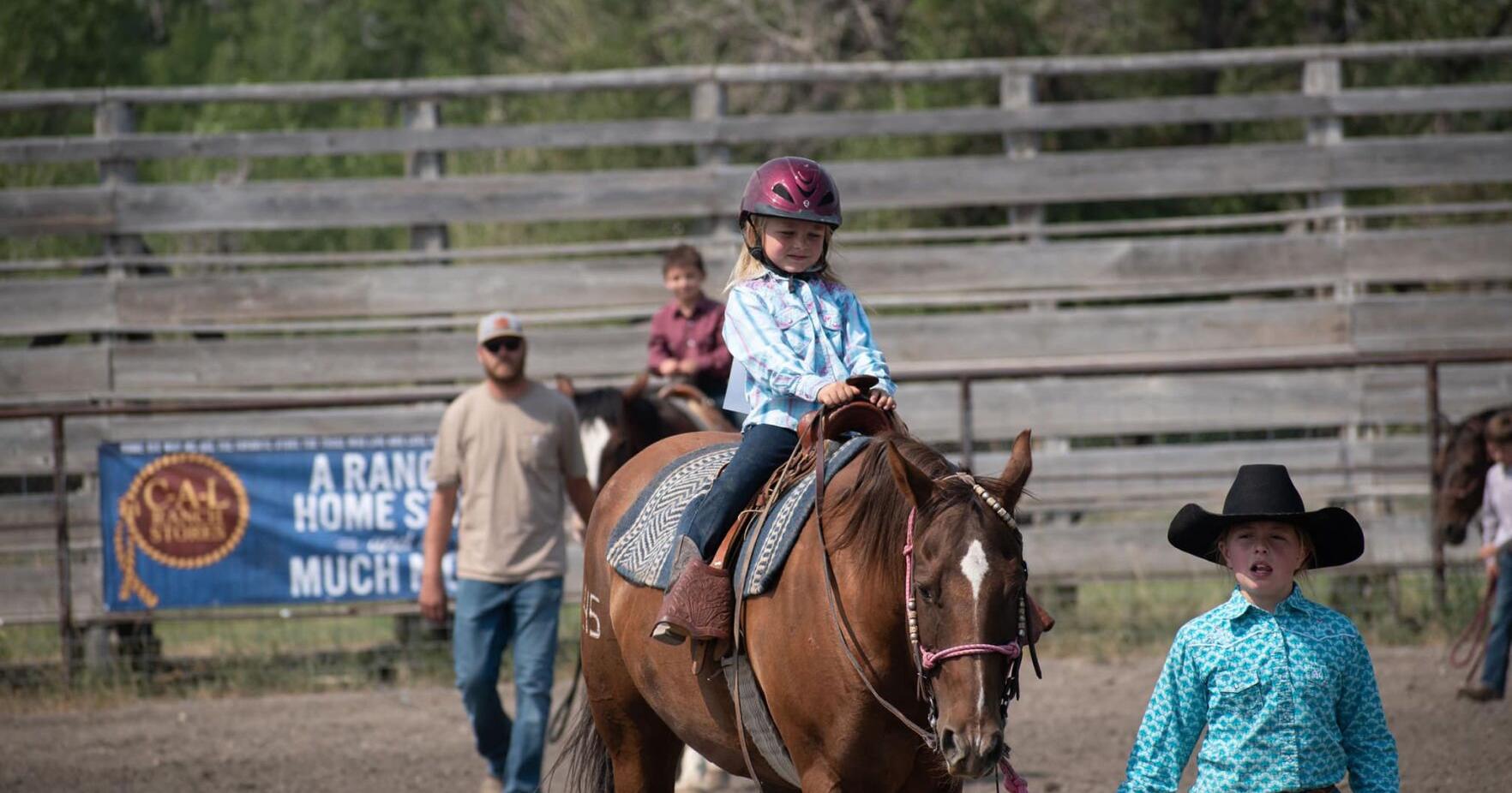 Custer County Horse Show open for registrants - Vimarsana News