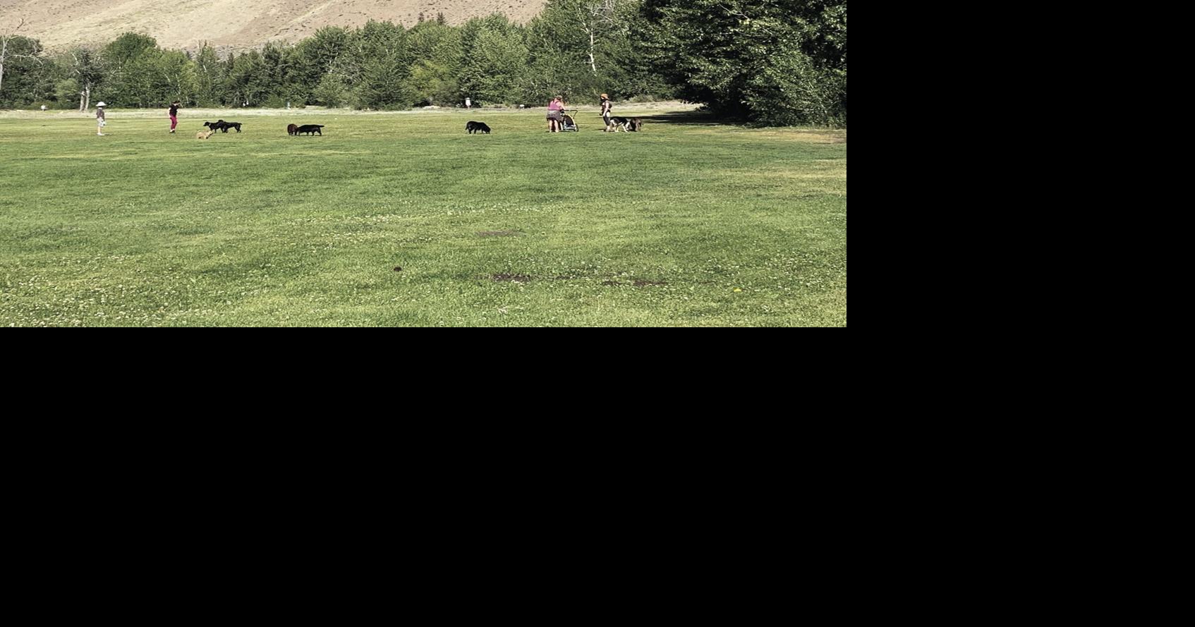 Future of Warm Springs Ranch takes shape—slowly | Ketchum | mtexpress.com