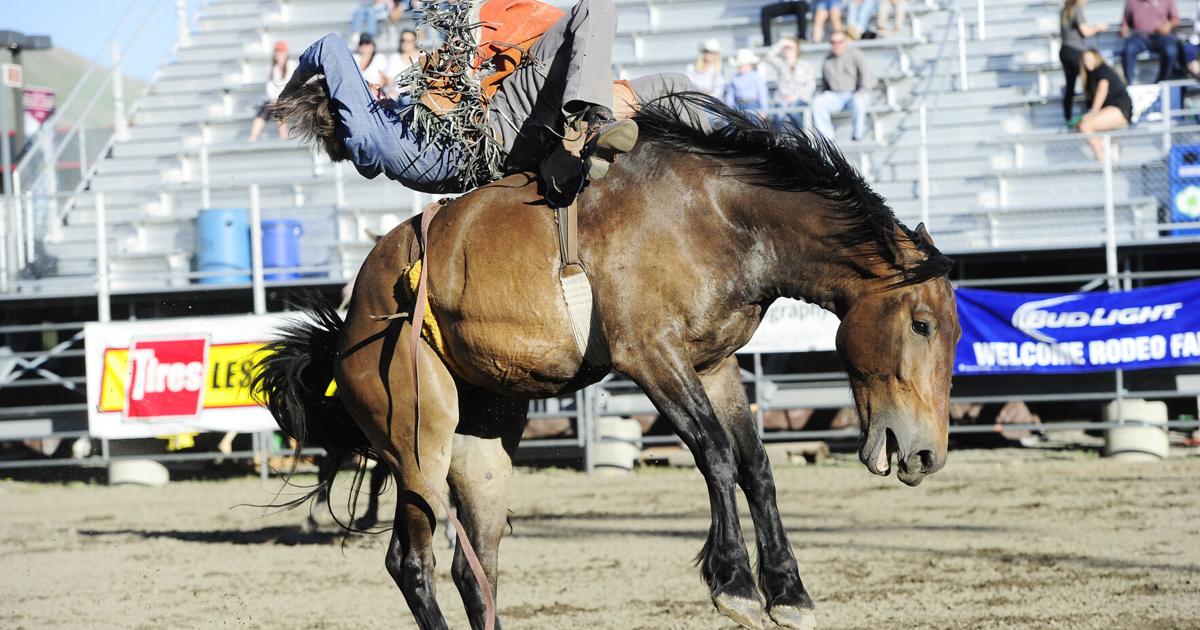 'You just have to experience it': What to know about the annual Hailey ...