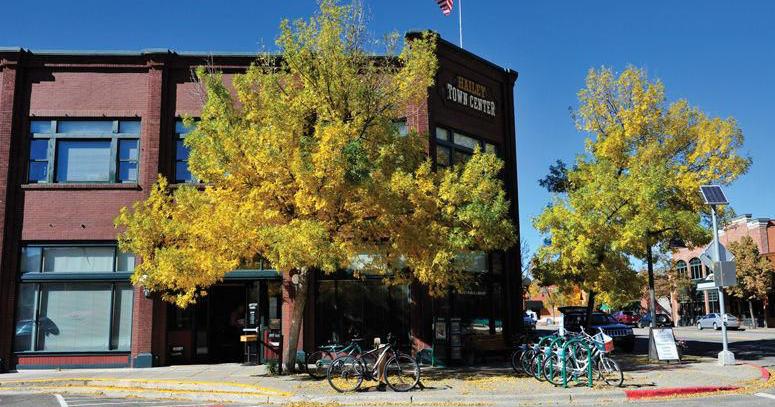 In Hailey, housing committee takes shape - Vimarsana News