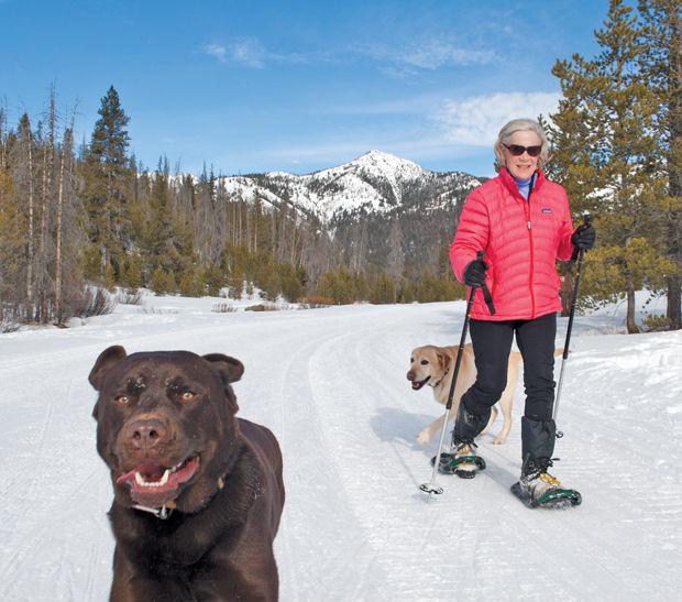 Exploring Winter Trails In The Valley Local Mtexpress Com