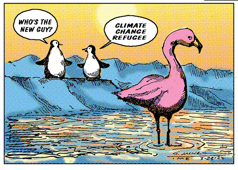 Climate Refugee | Cartoon 