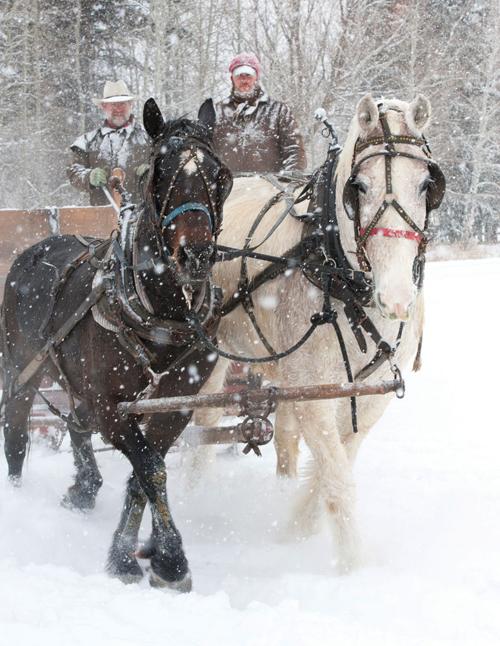Sun Valley Stables Offers Winter Fun Glimpse Of Yesteryears