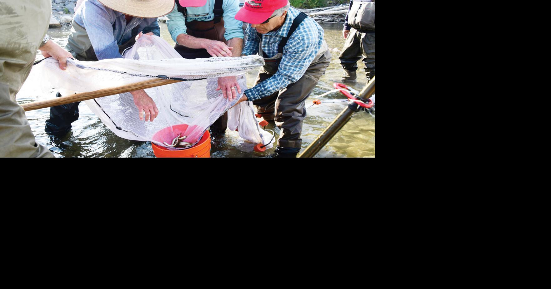 Groups orchestrate massive fish rescue | Environment | mtexpress.com