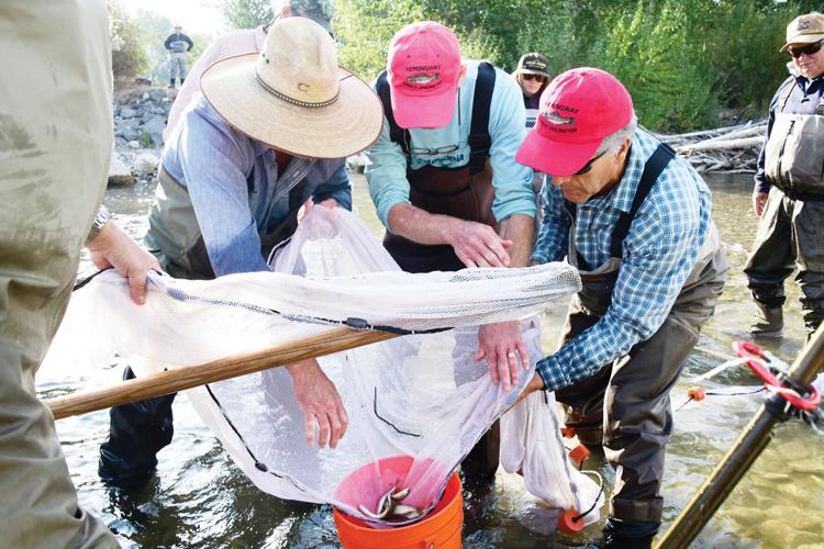 Groups orchestrate massive fish rescue, Environment