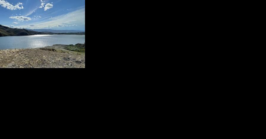 Fish salvaged ordered for Mackay Reservoir - Vimarsana News