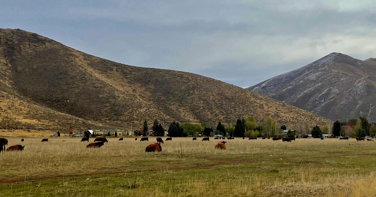 Bellevue gets details on master plan for Flying Hat Ranch annexation ...