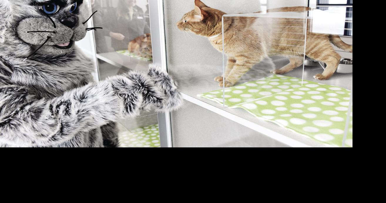 Mountain Humane opens new facility with tours, treats and thanks ...