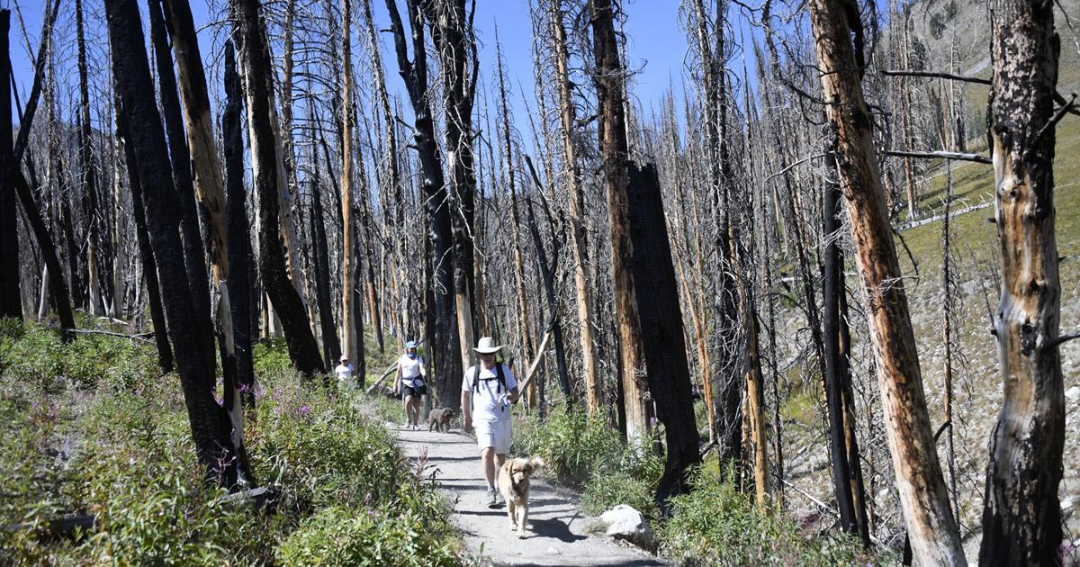 Idaho public land could be sold under proposed legislation