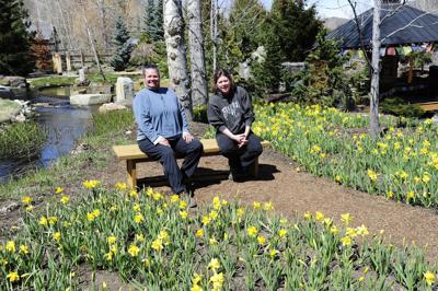 22-05-06-sawtooth-botanical-gardens-daffodil-festival-1