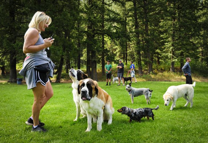 Ketchum bringing Warm Springs Preserve plan into focus Ketchum