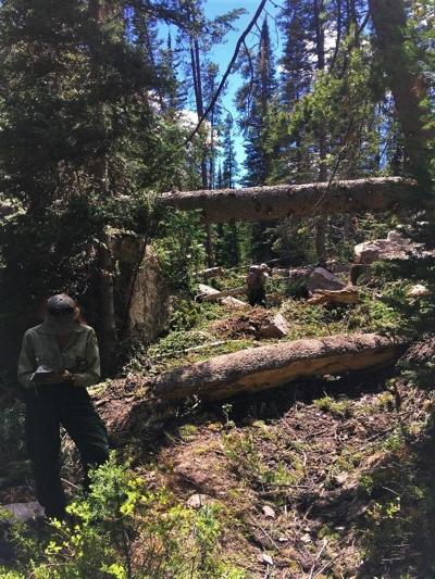 Redfish-Baron Trail Earthquake (copy) (copy)