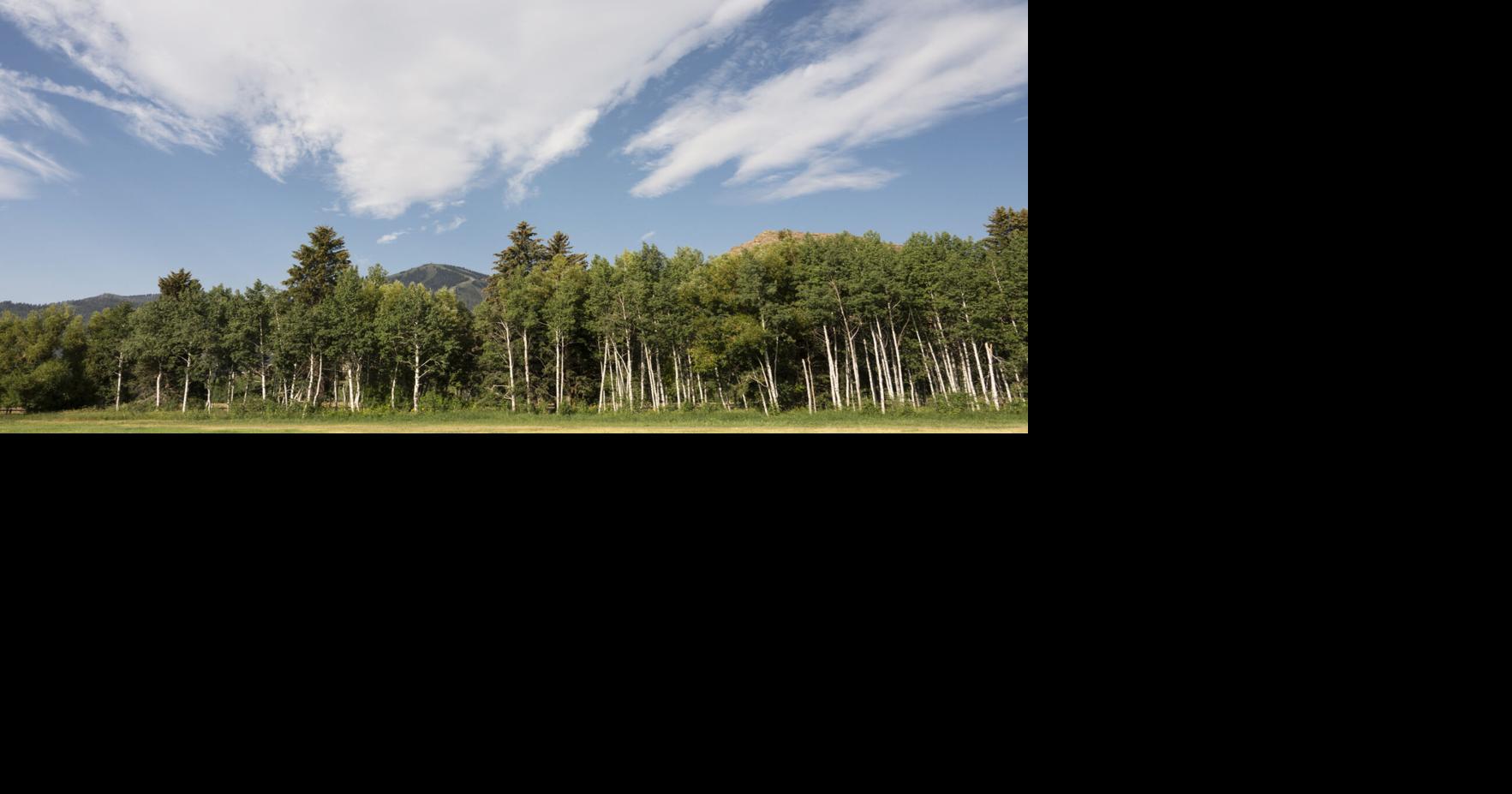 A Balmy Baldy Sky | Features | mtexpress.com