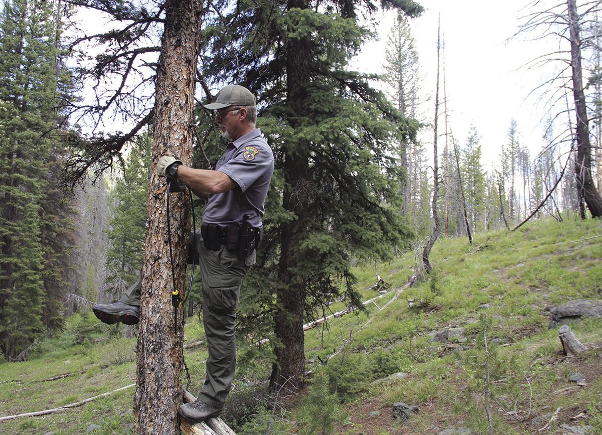 Fish and Game Commission extends wolf hunting, trapping seasons