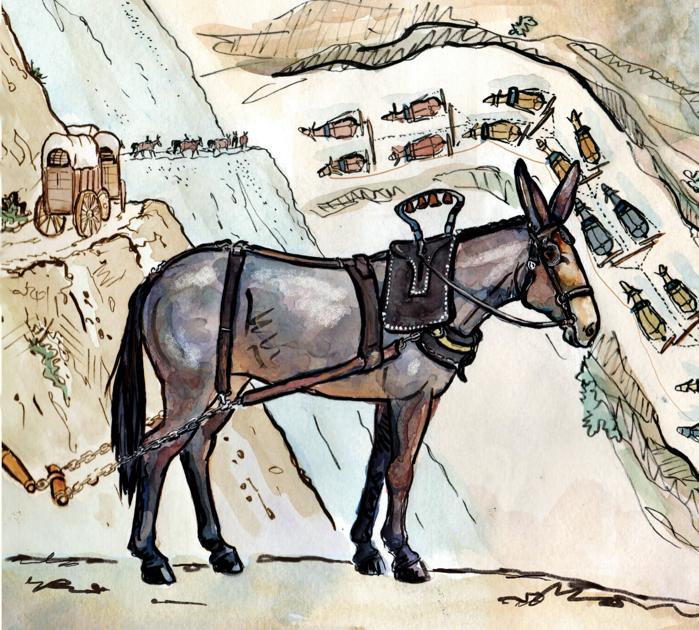 20MuleHitch Jerk Line Mechanics Special Sections