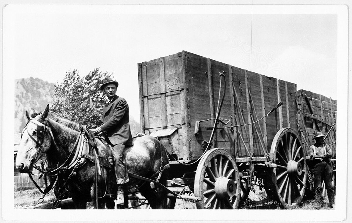 Horse and Buggy: The Primary Means of Transportation in the 19th