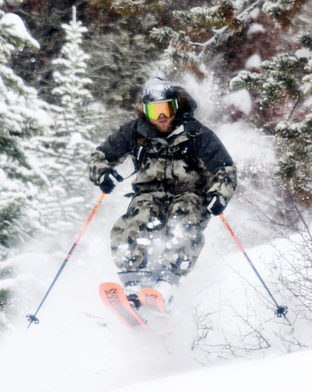 Karl Fostvedt, skiing woods