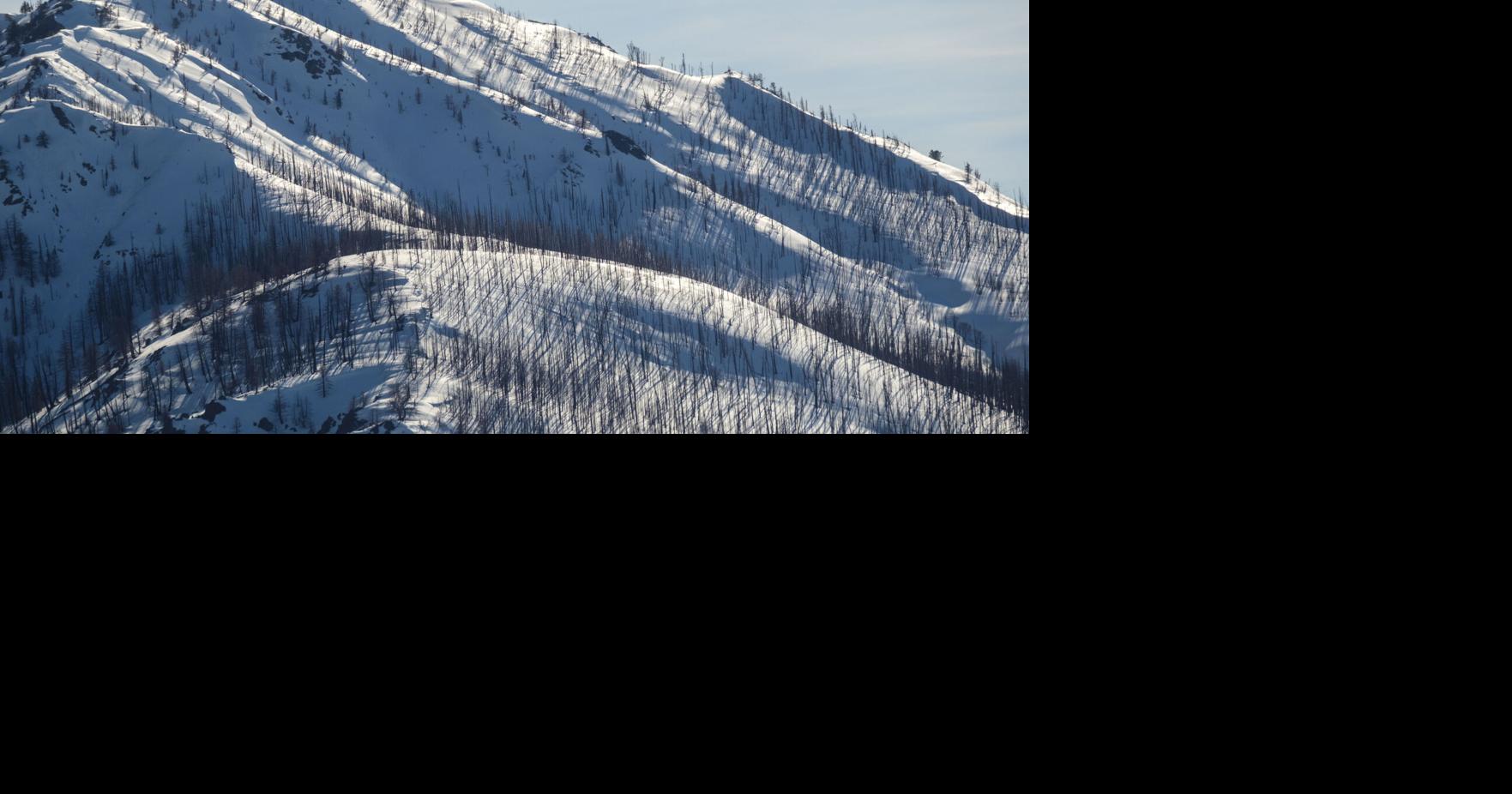 Forest Service to be restructured