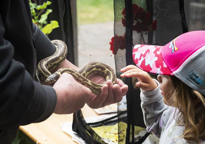 Botanical garden holds annual Bug Zoo Festival