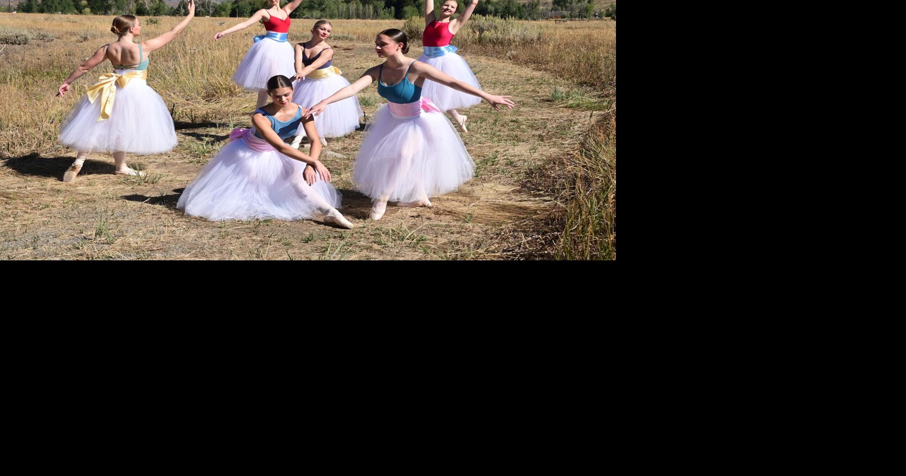 Students to weave dance, artworks in free showcase