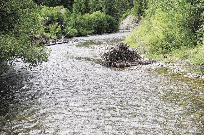 Big Wood River Hits Another Record Low | Environment | mtexpress.com