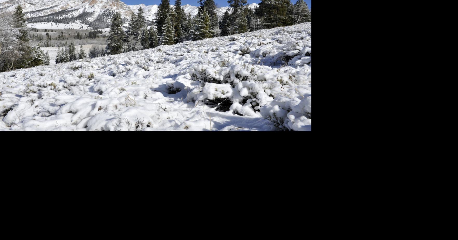 Early-February storms bring local snowpack to 93% of normal ...
