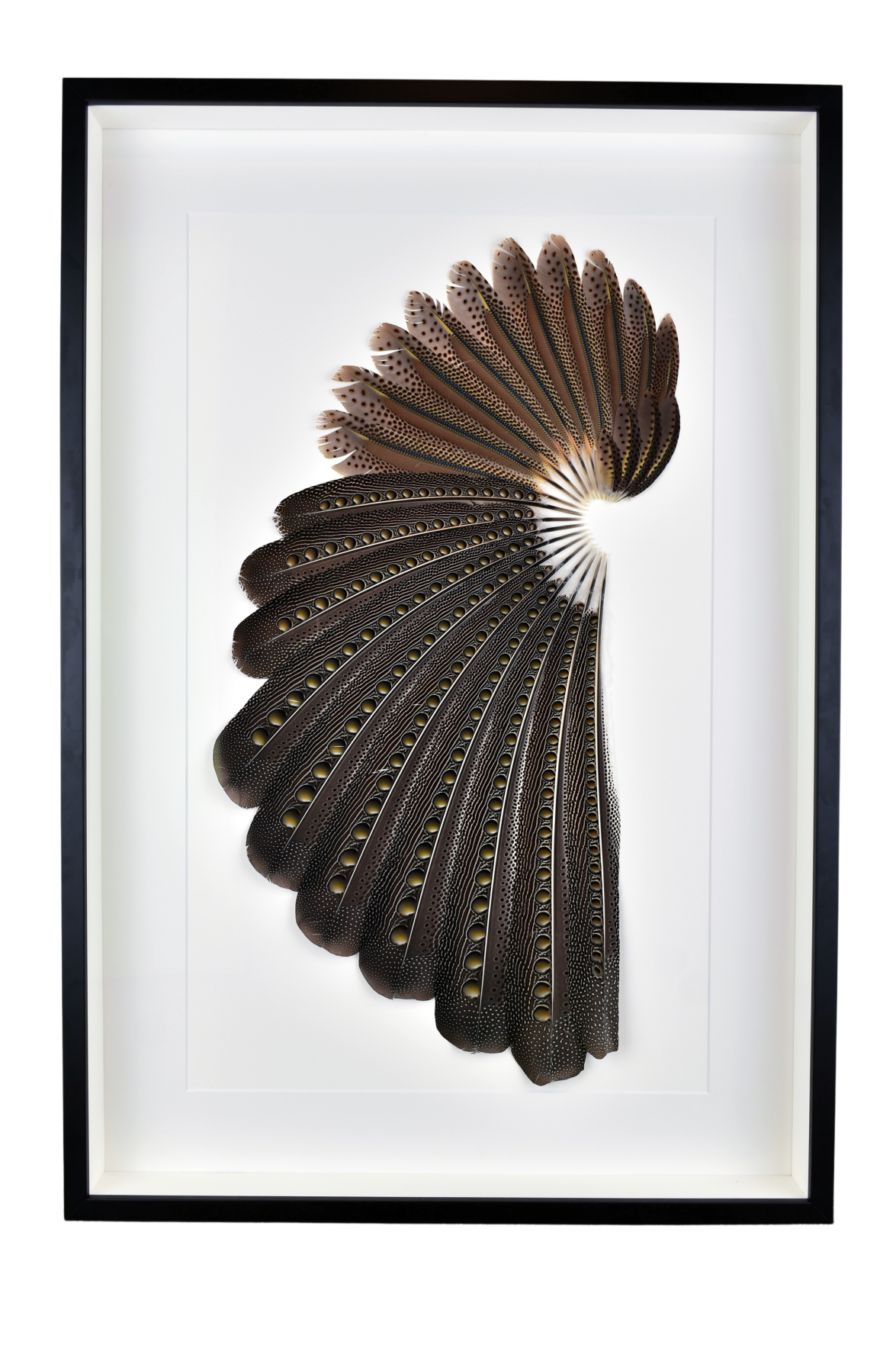Avian-themed art gallery nests in Ketchum | Arts | mtexpress.com