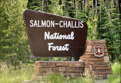 Salmon-Challis National Forest Sign