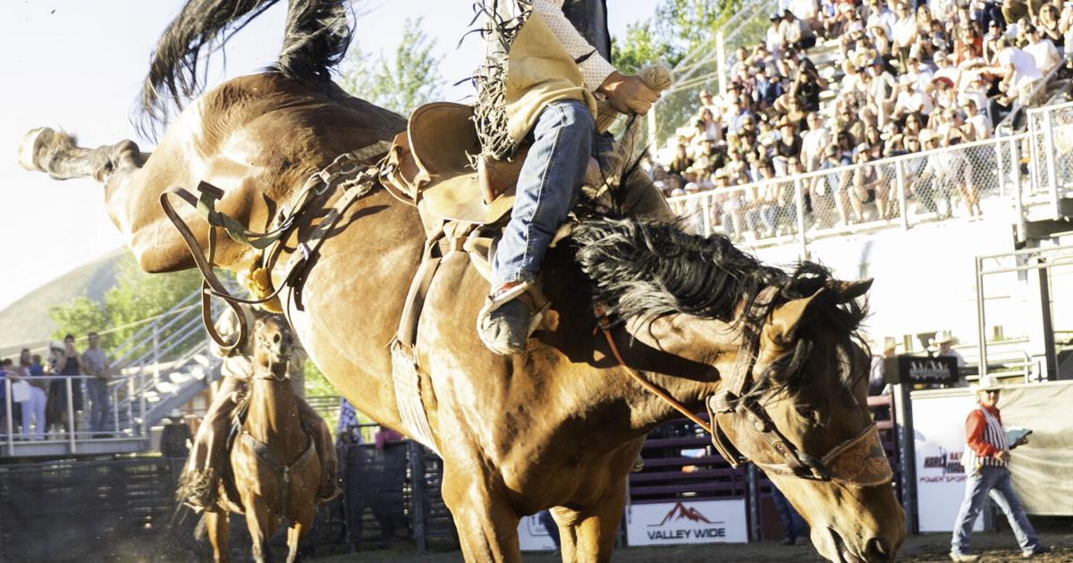 Days of the Old West Rodeo | Gallery | mtexpress.com