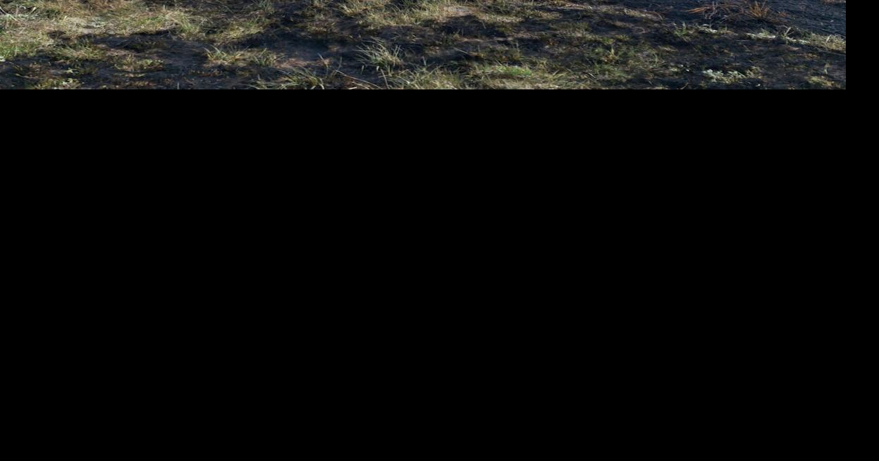 Fire contained southeast of Stanley Human-caused fire burned close to homes off Fisher Creek Road