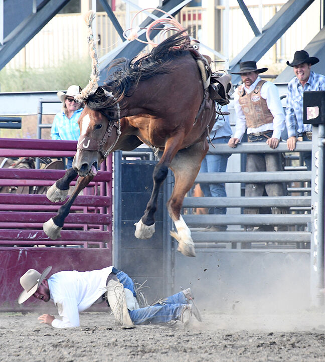 Ropers, riders win big at Days of the Old West Rodeo | Local ...