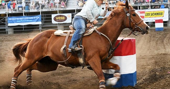 Rodeo returns for the Fourth - Vimarsana News