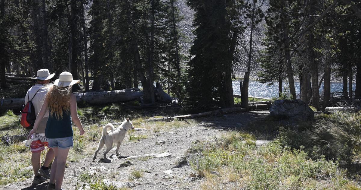 Idaho insulated from Roadless Rule repeal