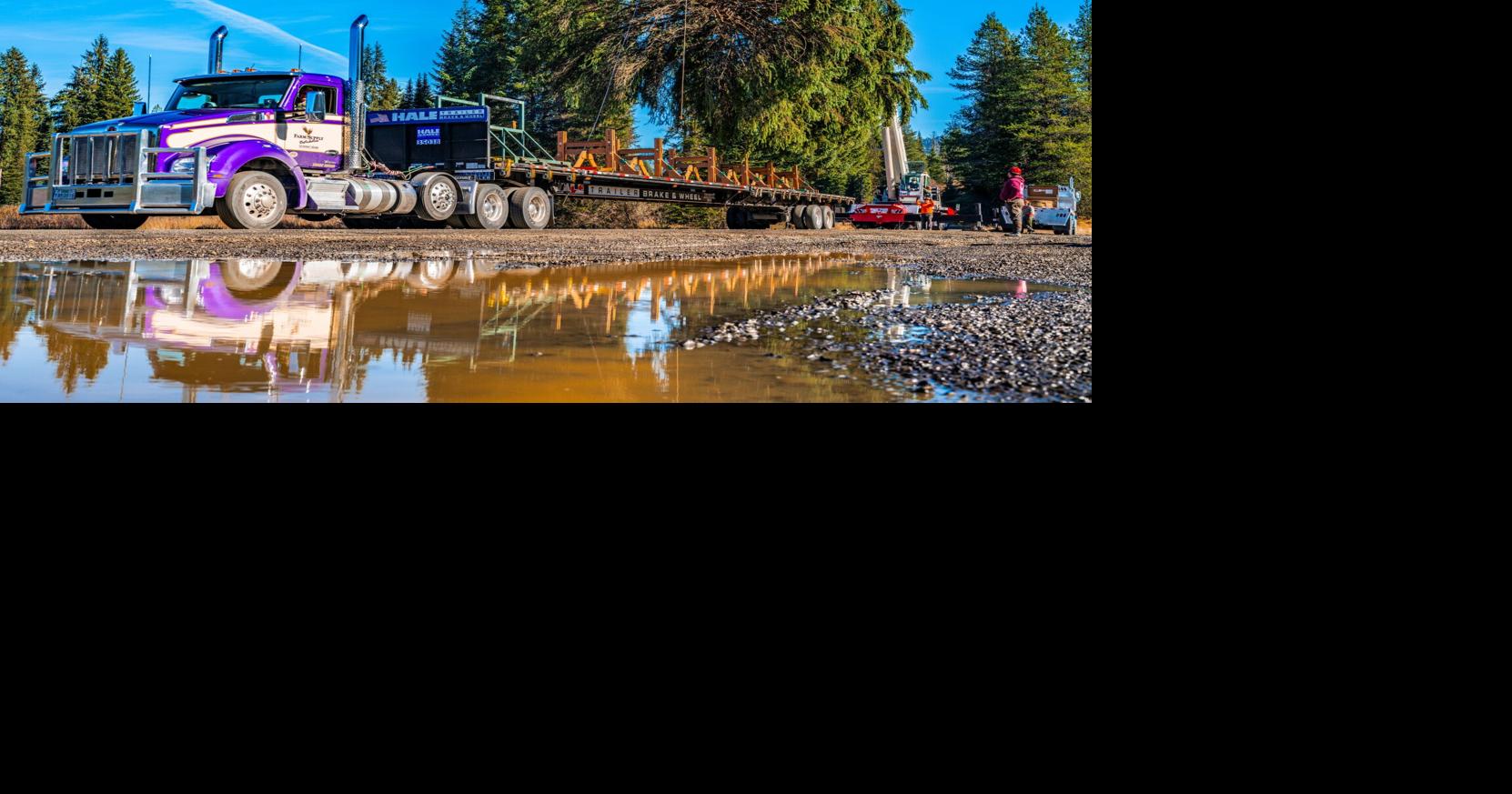 'The People's Tree' is coming to town