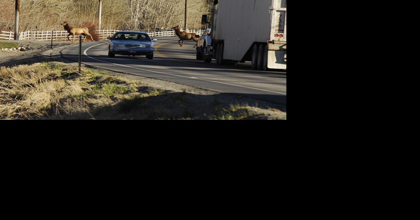 Land Trust updates plan to reduce wildlife-vehicle collisions