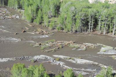 Recovering The Big Wood River Environment Mtexpress Com
